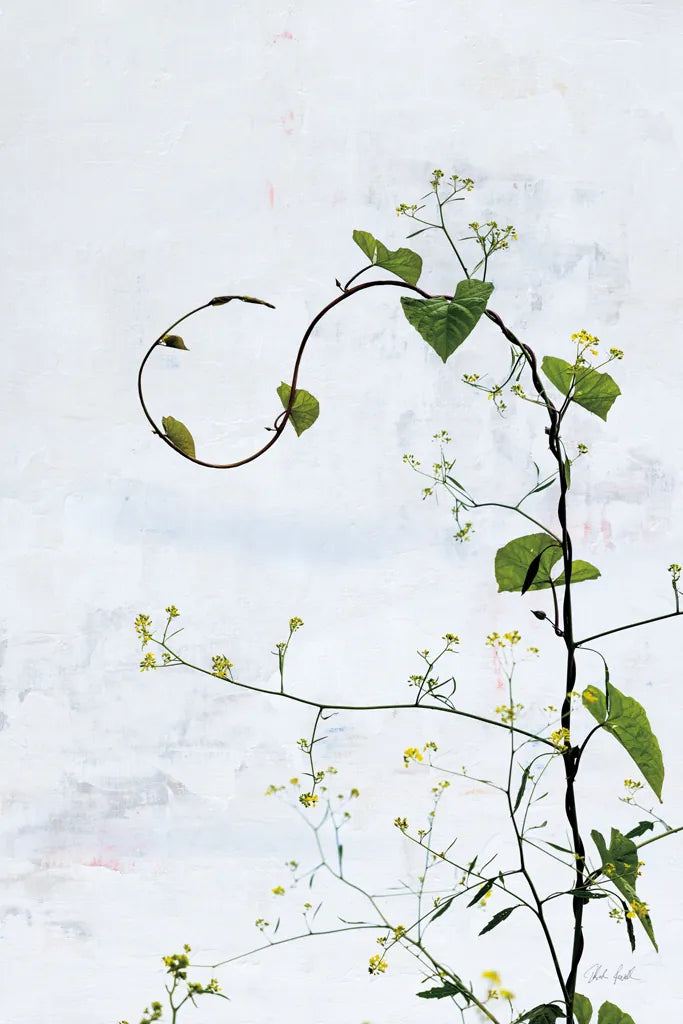 Honeyvine by Deborah Revell. SKU 93424h. Archival Giclee Fine art print for wall decor.