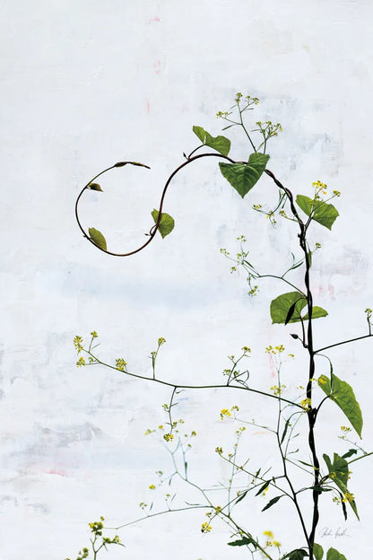 Honeyvine by Deborah Revell. SKU 93424h. Archival Giclee Fine art print for wall decor.