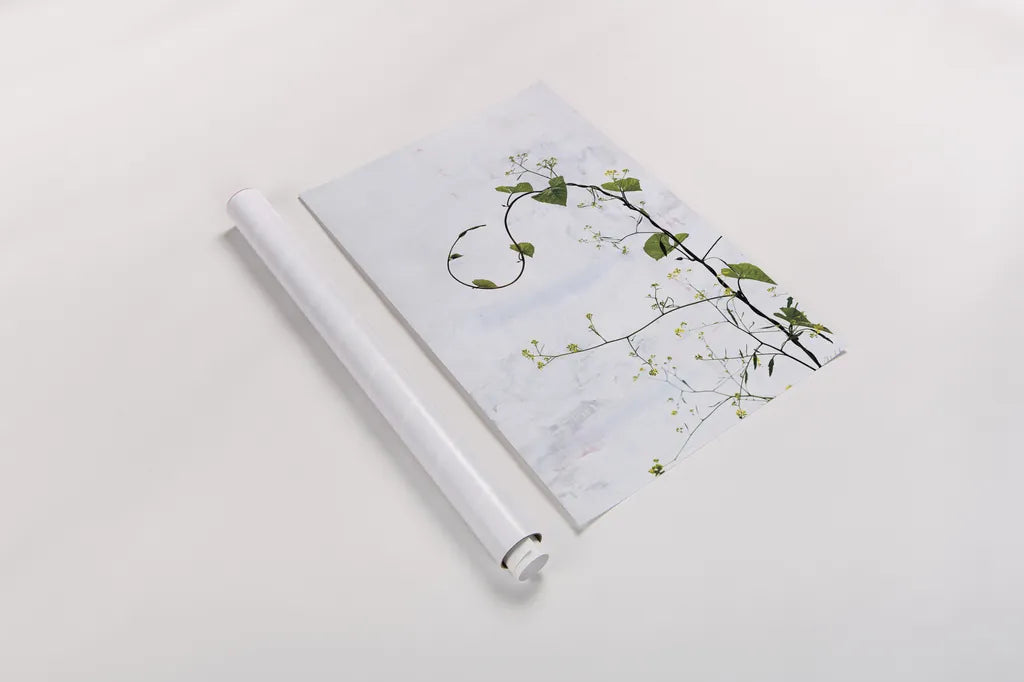 Honeyvine by Deborah Revell. shown as a rolled paper print. Available as archival giclee rolled canvas, fine art paper, or poster print. SKU 93424h.