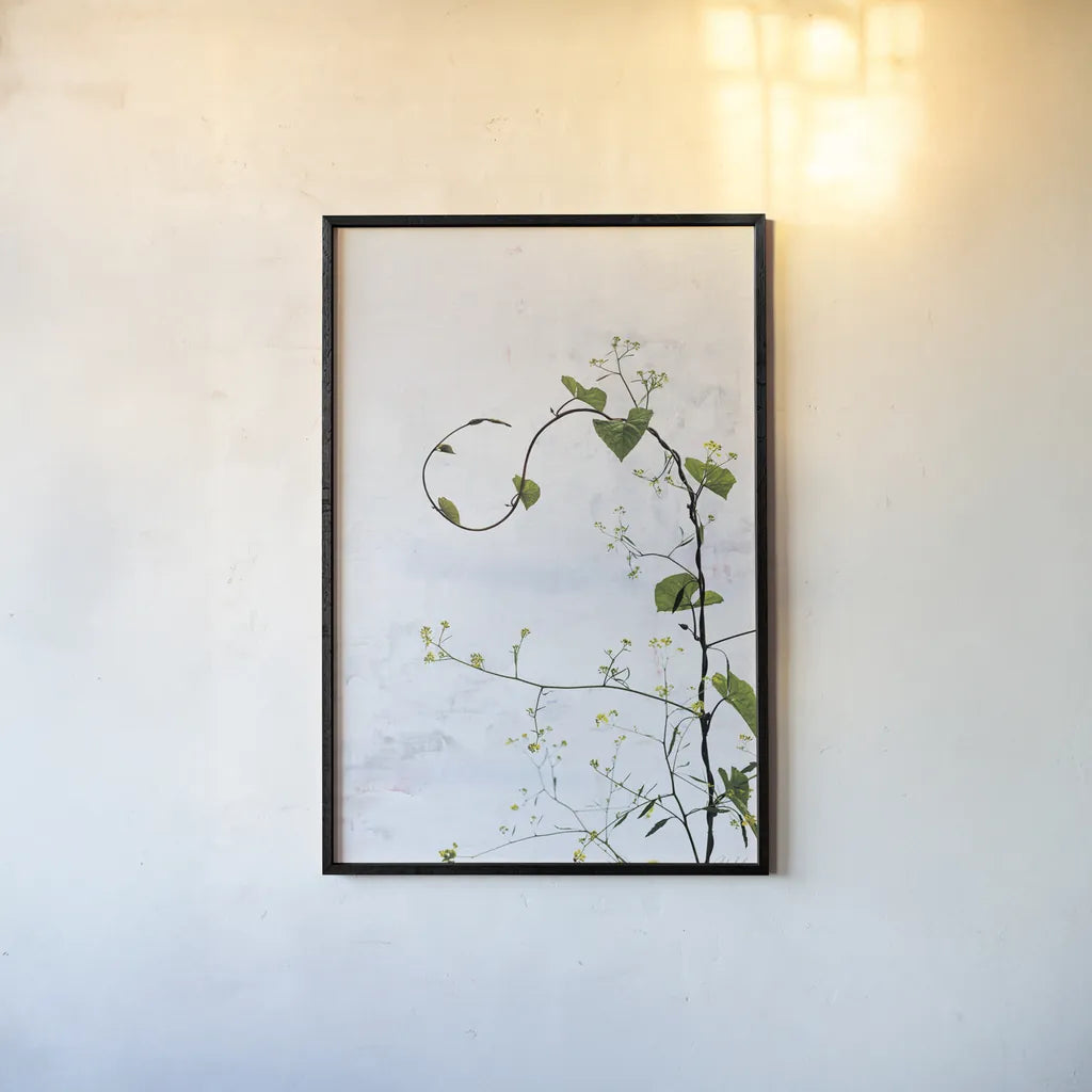 Honeyvine by Deborah Revell. shown as a paper print in a black flame. Available as a archival giclee rolled canvas, fine art paper, or poster print. SKU 93424h.