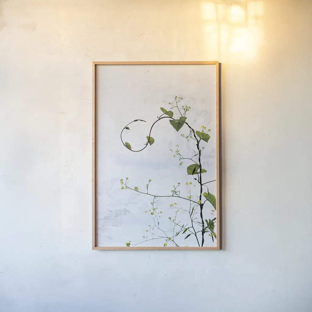 Honeyvine by Deborah Revell. shown as a paper print in a natural frame. Available as a archival giclee rolled canvas, fine art paper, or poster print. SKU 93424h.