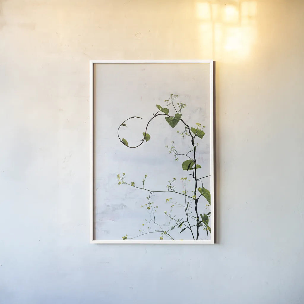 Honeyvine by Deborah Revell. shown as a paper print in a white frame. Available as a archival giclee rolled canvas, fine art paper, or poster print. SKU 93424h.