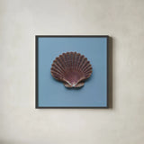 Hope Cove Shells I by Deborah Revell. Shown in a sleek black glass frame for a contemporary gallery look. Available as an archival giclee rolled canvas, fine art paper, or poster print. SKU 96593a.