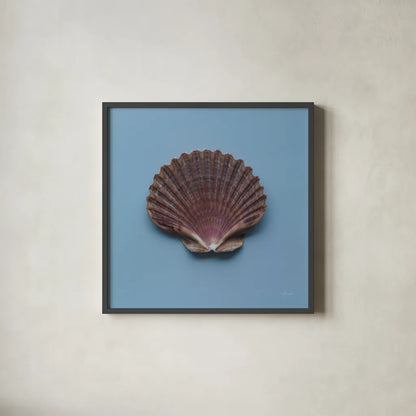 Hope Cove Shells I by Deborah Revell. Shown in a sleek black glass frame for a contemporary gallery look. Available as an archival giclee rolled canvas, fine art paper, or poster print. SKU 96593a.