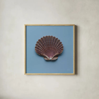 Hope Cove Shells I by Deborah Revell. Shown in a natural wood glass frame for a timeless modern aesthetic. Available as an archival giclee rolled canvas, fine art paper, or poster print. SKU 96593a.