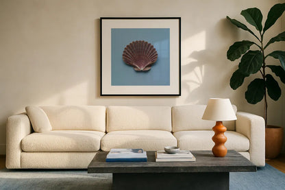 Hope Cove Shells I by Deborah Revell. Displayed in a glass frame with matte in a clean modern living room. Available as an archival giclee rolled canvas, fine art paper, or poster print. SKU 96593a.