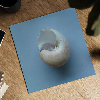 Hope Cove Shells II by Deborah Revell. Shown as a detailed flat fine art print, highlighting archival giclee quality. Available as an archival giclee rolled canvas, fine art paper, or poster print. SKU 96594a.