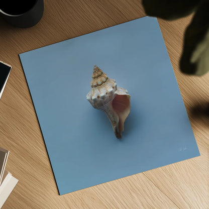 Hope Cove Shells IV by Deborah Revell. Shown as a detailed flat fine art print, highlighting archival giclee quality. Available as an archival giclee rolled canvas, fine art paper, or poster print. SKU 96596a.