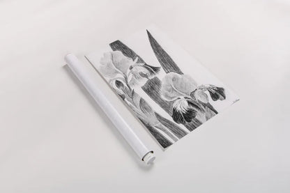 Illustrated Iris I by Deborah Revell. shown as a rolled paper print. Available as archival giclee rolled canvas, fine art paper, or poster print. SKU 98138h.