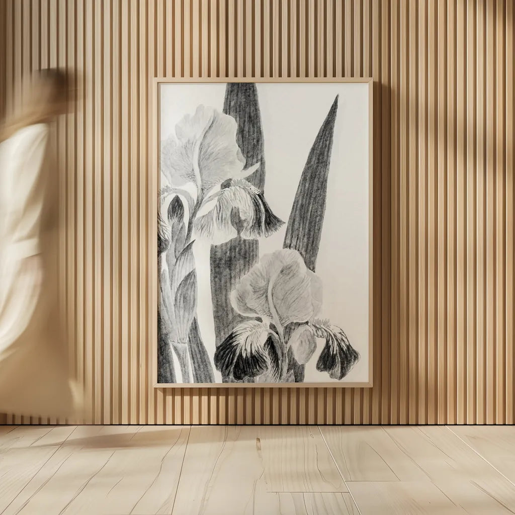 Illustrated Iris I by Deborah Revell. shown as over sized large wall art. Available as an archival giclee rolled canvas, fine art paper, or poster print. SKU 98138h.