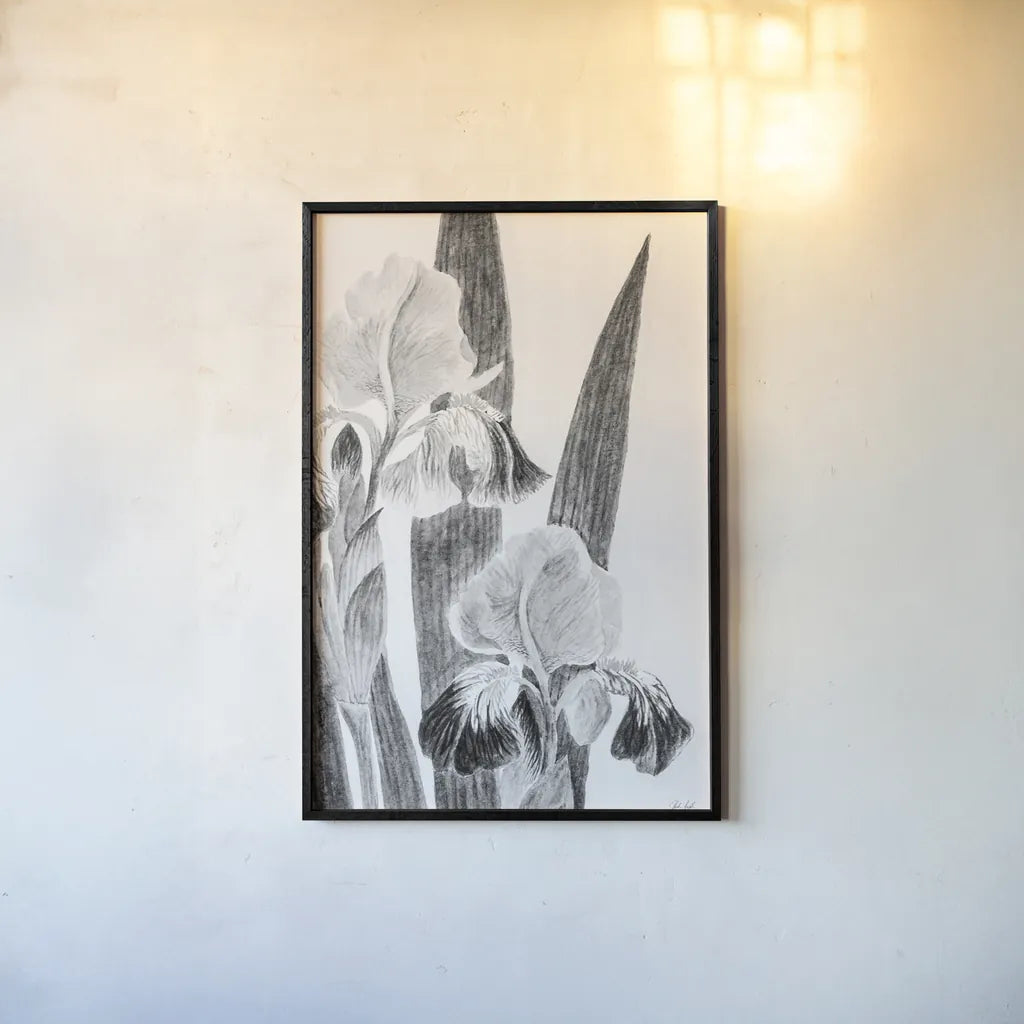 Illustrated Iris I by Deborah Revell. shown as a paper print in a black flame. Available as a archival giclee rolled canvas, fine art paper, or poster print. SKU 98138h.
