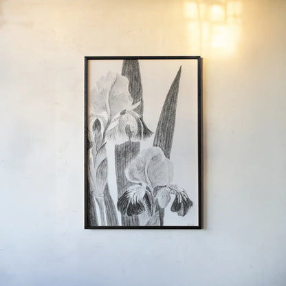 Illustrated Iris I by Deborah Revell. shown as a paper print in a black flame. Available as a archival giclee rolled canvas, fine art paper, or poster print. SKU 98138h.