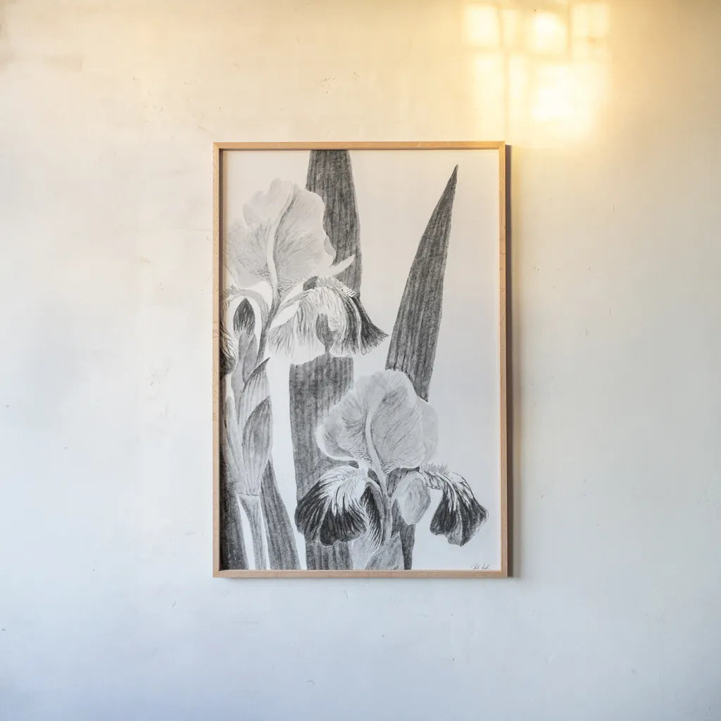 Illustrated Iris I by Deborah Revell. shown as a paper print in a natural frame. Available as a archival giclee rolled canvas, fine art paper, or poster print. SKU 98138h.