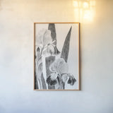 Illustrated Iris I by Deborah Revell. shown as a paper print in a natural frame. Available as a archival giclee rolled canvas, fine art paper, or poster print. SKU 98138h.