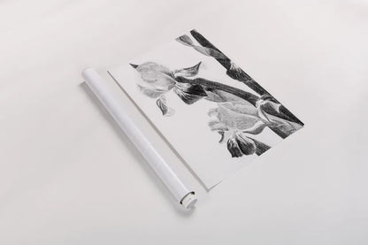 Illustrated Iris II by Deborah Revell. shown as a rolled paper print. Available as archival giclee rolled canvas, fine art paper, or poster print. SKU 98139h.