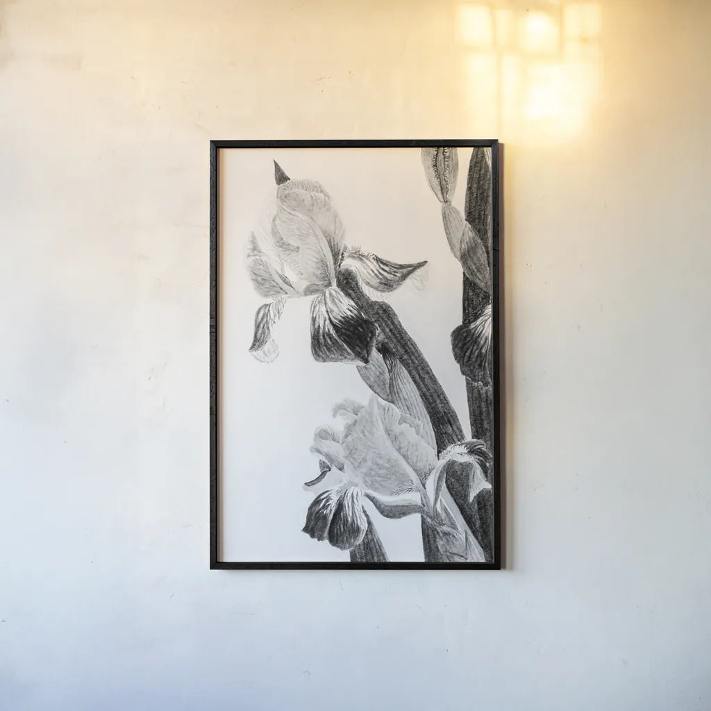 Illustrated Iris II by Deborah Revell. shown as a paper print in a black flame. Available as a archival giclee rolled canvas, fine art paper, or poster print. SKU 98139h.
