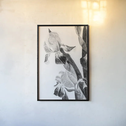 Illustrated Iris II by Deborah Revell. shown as a paper print in a black flame. Available as a archival giclee rolled canvas, fine art paper, or poster print. SKU 98139h.