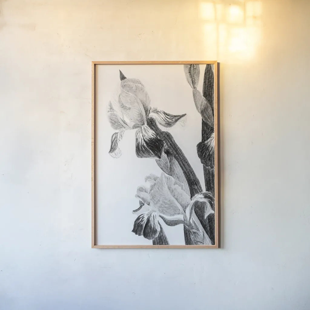 Illustrated Iris II by Deborah Revell. shown as a paper print in a natural frame. Available as a archival giclee rolled canvas, fine art paper, or poster print. SKU 98139h.