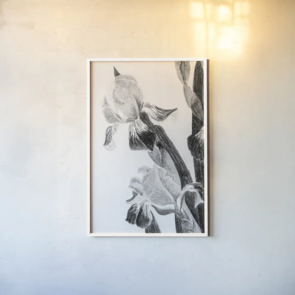 Illustrated Iris II by Deborah Revell. shown as a paper print in a white frame. Available as a archival giclee rolled canvas, fine art paper, or poster print. SKU 98139h.