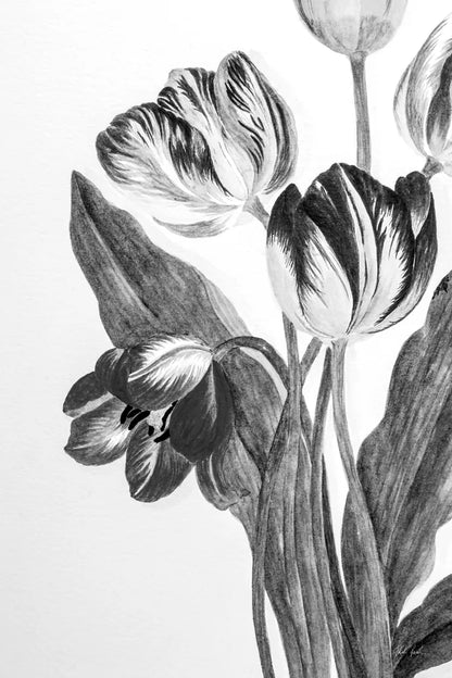 Illustrated Tulip by Deborah Revell. SKU 96574h. Archival Giclee Fine art print for wall decor.