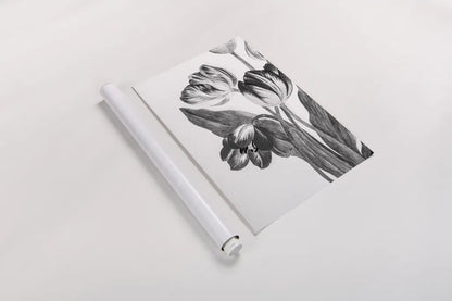 Illustrated Tulip by Deborah Revell. shown as a rolled paper print. Available as archival giclee rolled canvas, fine art paper, or poster print. SKU 96574h.