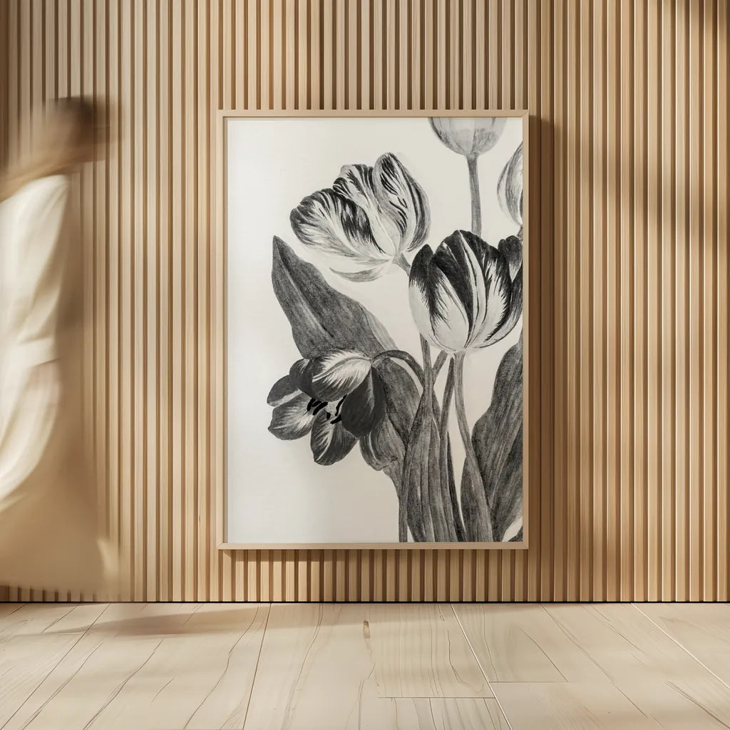 Illustrated Tulip by Deborah Revell. shown as over sized large wall art. Available as an archival giclee rolled canvas, fine art paper, or poster print. SKU 96574h.