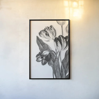 Illustrated Tulip by Deborah Revell. shown as a paper print in a black flame. Available as a archival giclee rolled canvas, fine art paper, or poster print. SKU 96574h.