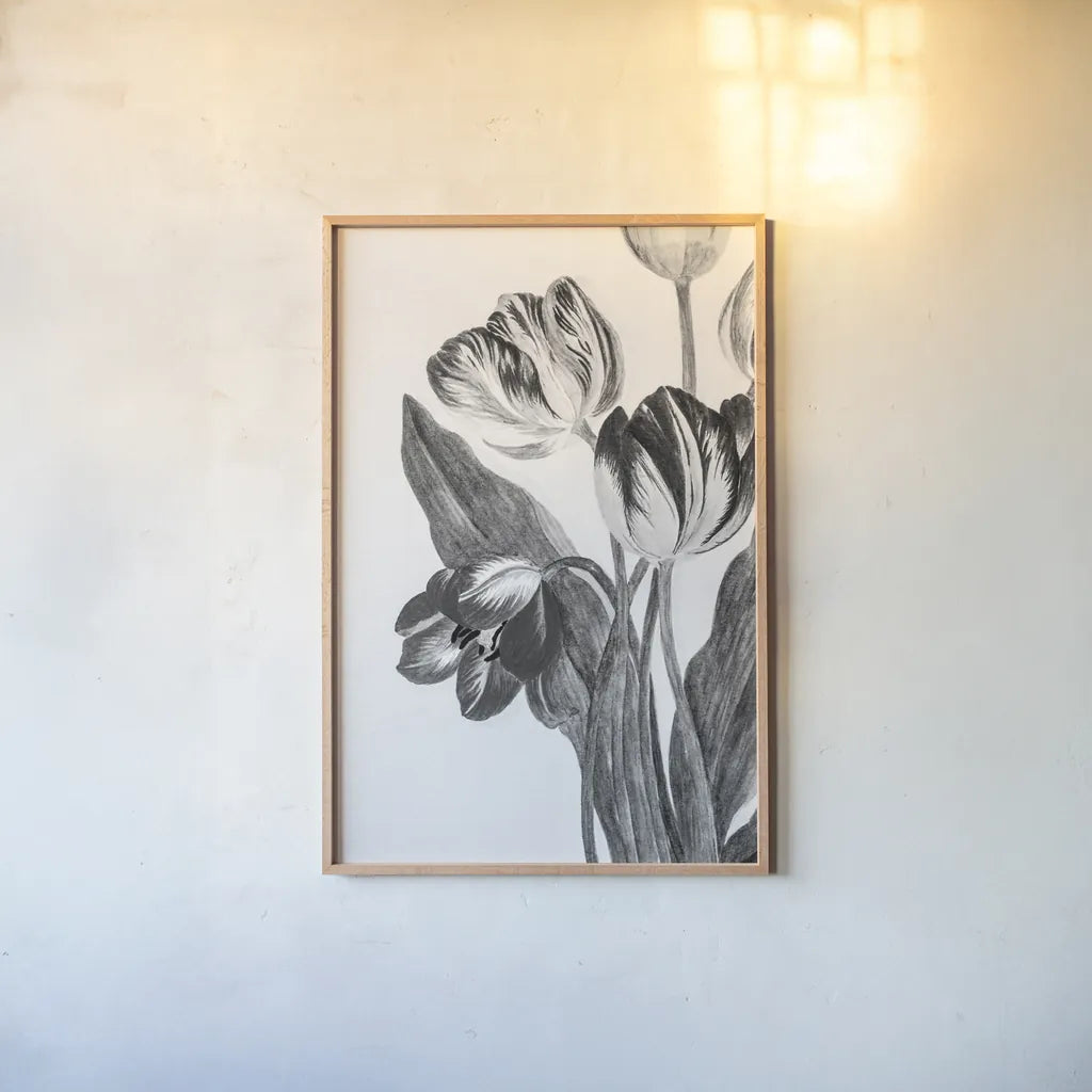Illustrated Tulip by Deborah Revell. shown as a paper print in a natural frame. Available as a archival giclee rolled canvas, fine art paper, or poster print. SKU 96574h.