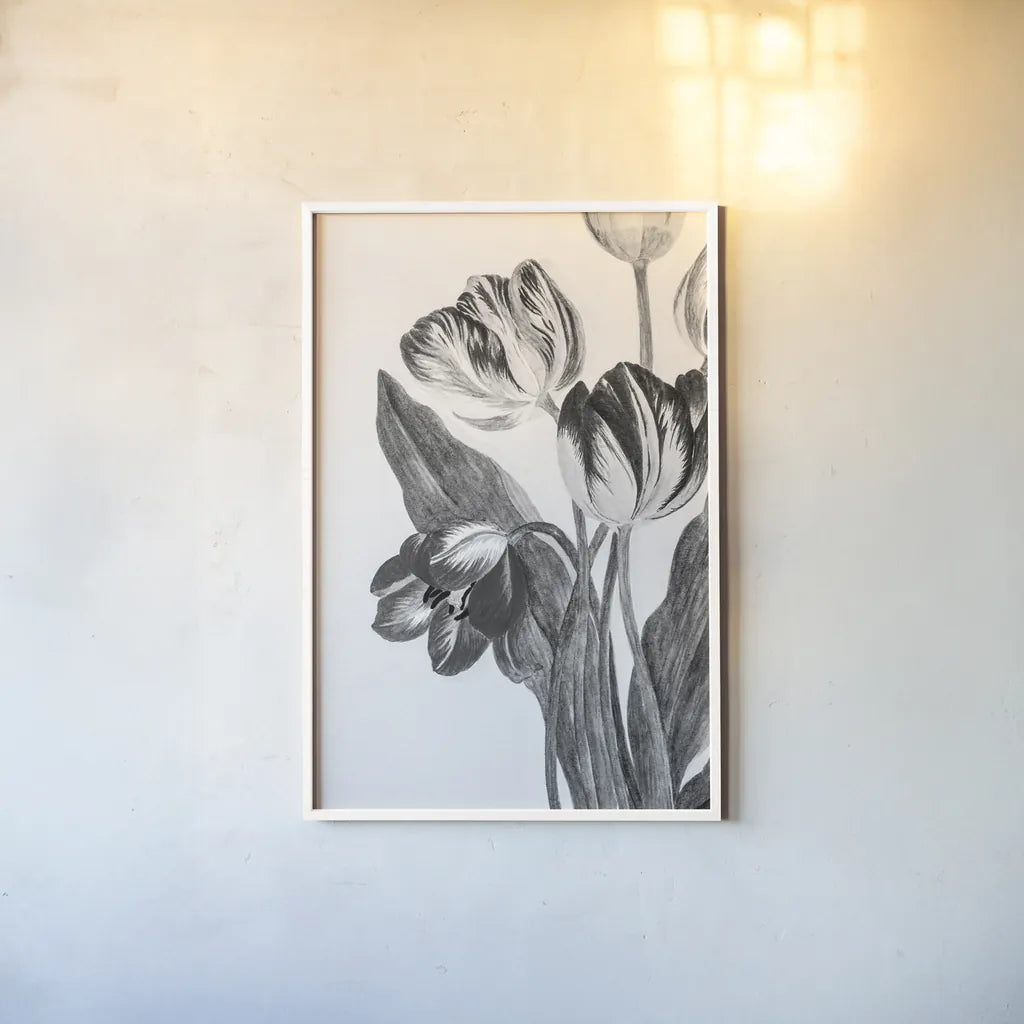 Illustrated Tulip by Deborah Revell. shown as a paper print in a white frame. Available as a archival giclee rolled canvas, fine art paper, or poster print. SKU 96574h.