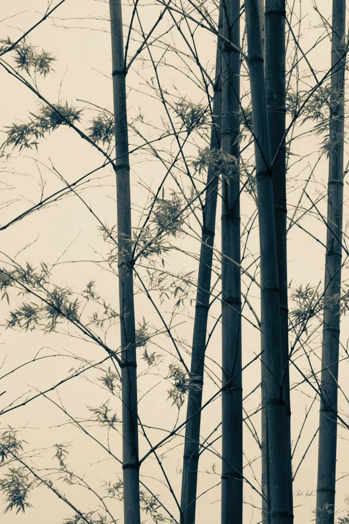 Japanese Bamboo I by Deborah Revell. SKU 100074h. Archival Giclee Fine art print for wall decor.