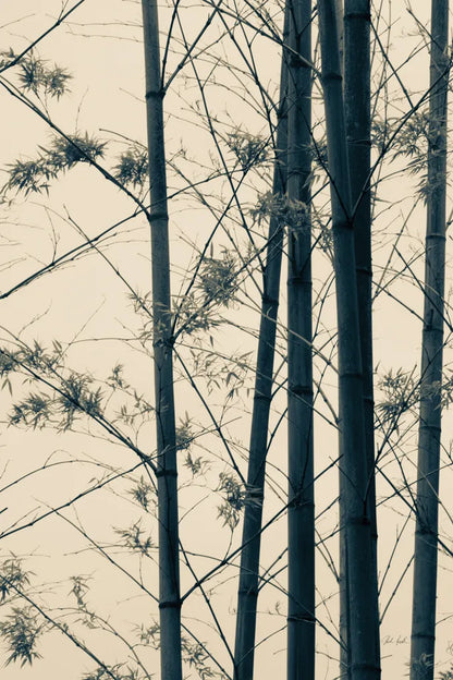 Japanese Bamboo I by Deborah Revell. SKU 100074h. Archival Giclee Fine art print for wall decor.