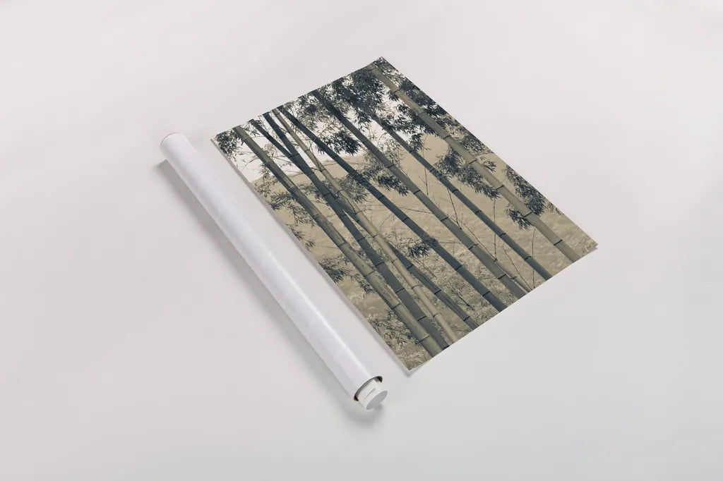 Japanese Bamboo II by Deborah Revell. shown as a rolled paper print. Available as archival giclee rolled canvas, fine art paper, or poster print. SKU 100075h.
