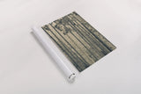 Japanese Bamboo III by Deborah Revell. shown as a rolled paper print. Available as archival giclee rolled canvas, fine art paper, or poster print. SKU 100076h.