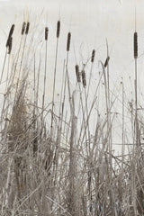 Kates Rushes I by Deborah Revell. SKU 100048h. Archival Giclee Fine art print for wall decor.