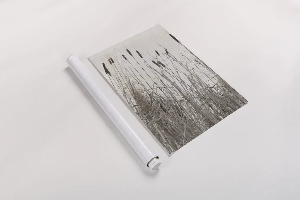 Kates Rushes I by Deborah Revell. shown as a rolled paper print. Available as archival giclee rolled canvas, fine art paper, or poster print. SKU 100048h.