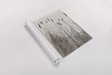 Kates Rushes I by Deborah Revell. shown as a rolled paper print. Available as archival giclee rolled canvas, fine art paper, or poster print. SKU 100048h.