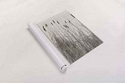 Kates Rushes I by Deborah Revell. shown as a rolled paper print. Available as archival giclee rolled canvas, fine art paper, or poster print. SKU 100048h.