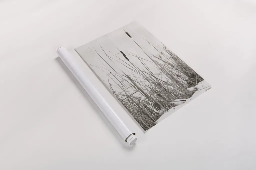 Kates Rushes II by Deborah Revell. shown as a rolled paper print. Available as archival giclee rolled canvas, fine art paper, or poster print. SKU 100049h.