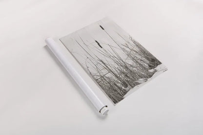 Kates Rushes II by Deborah Revell. shown as a rolled paper print. Available as archival giclee rolled canvas, fine art paper, or poster print. SKU 100049h.