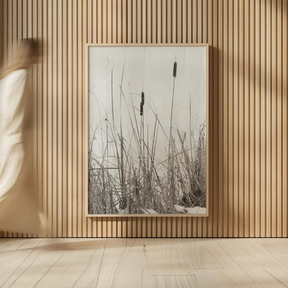 Kates Rushes II by Deborah Revell. shown as over sized large wall art. Available as an archival giclee rolled canvas, fine art paper, or poster print. SKU 100049h.