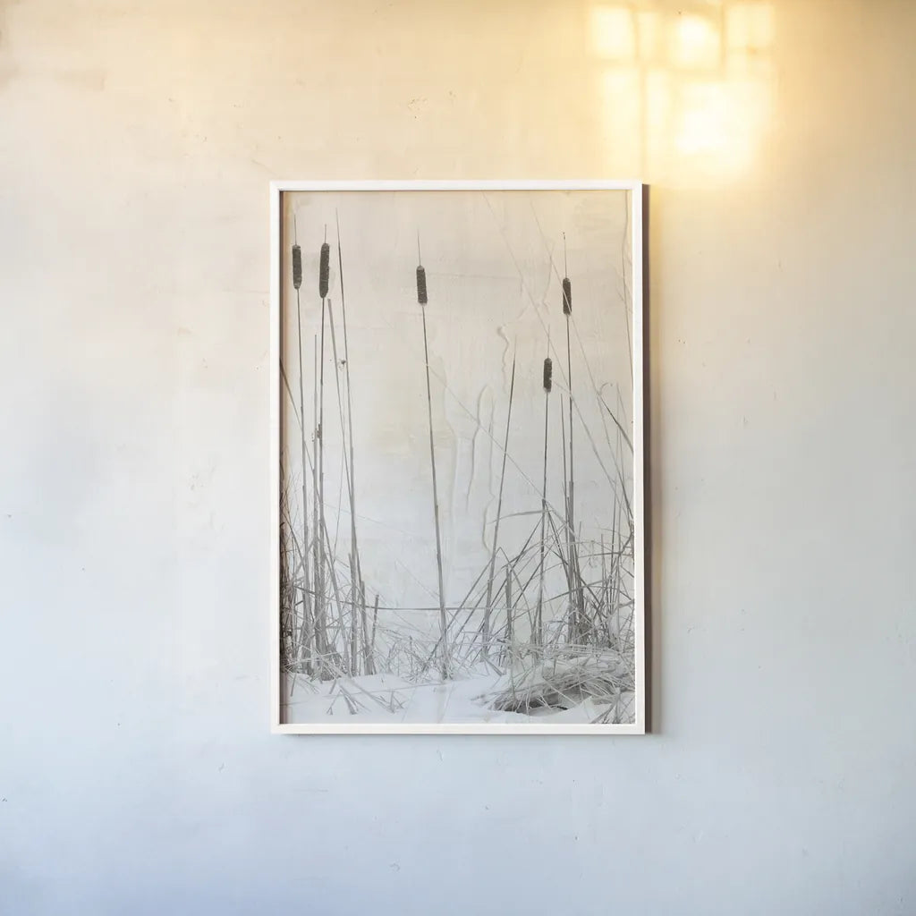 Kates Rushes III by Deborah Revell. shown as a paper print in a white frame. Available as a archival giclee rolled canvas, fine art paper, or poster print. SKU 100050h.