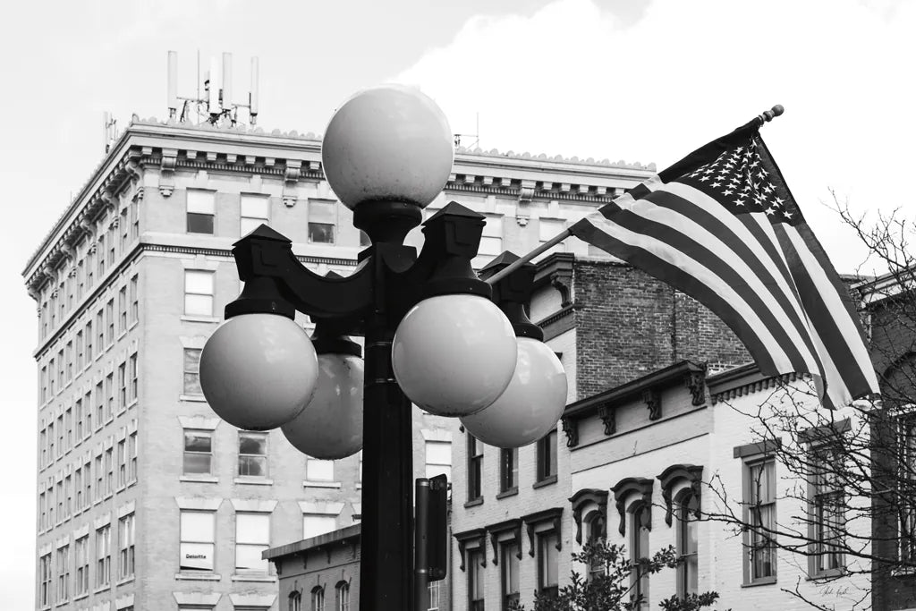 Kentucky Flag by Deborah Revell. SKU 94191i. Archival Giclee Fine art print for wall decor.