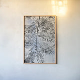 Key West Fern by Deborah Revell. shown as a paper print in a natural frame. Available as a archival giclee rolled canvas, fine art paper, or poster print. SKU 91629h.