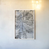 Key West Fern by Deborah Revell. shown as a paper print in a white frame. Available as a archival giclee rolled canvas, fine art paper, or poster print. SKU 91629h.