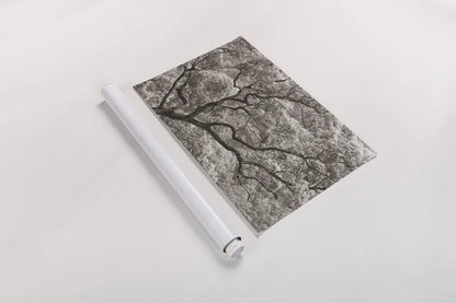 Koi no Ki by Deborah Revell. shown as a rolled paper print. Available as archival giclee rolled canvas, fine art paper, or poster print. SKU 100051i.