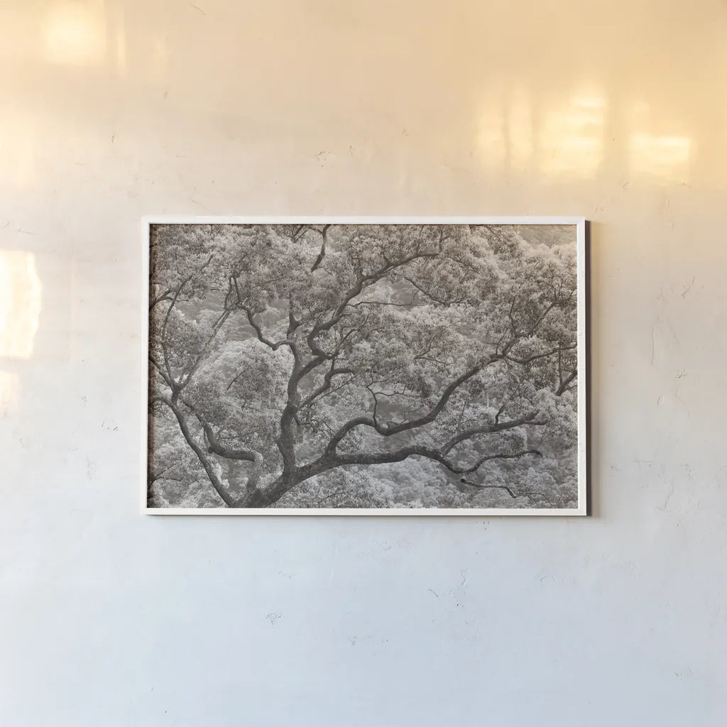 Koi no Ki by Deborah Revell. shown as a paper print in a white frame. Available as a archival giclee rolled canvas, fine art paper, or poster print. SKU 100051i.