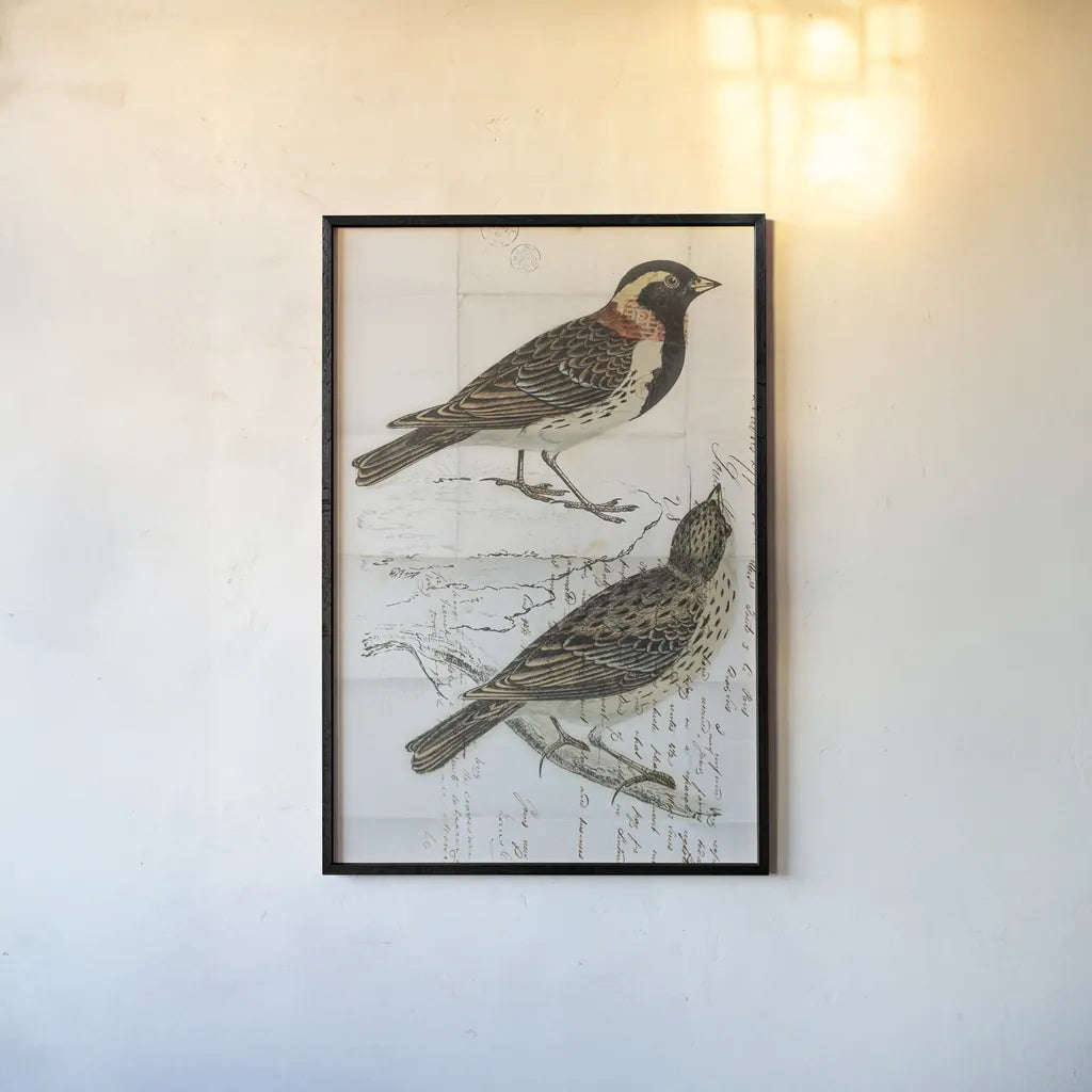 Lapland Bunting by Deborah Revell. shown as a paper print in a black flame. Available as a archival giclee rolled canvas, fine art paper, or poster print. SKU 101634h.