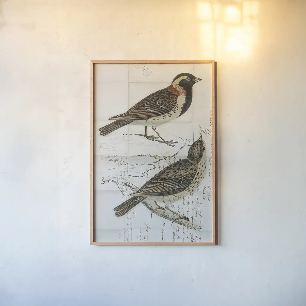 Lapland Bunting by Deborah Revell. shown as a paper print in a natural frame. Available as a archival giclee rolled canvas, fine art paper, or poster print. SKU 101634h.