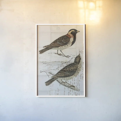 Lapland Bunting by Deborah Revell. shown as a paper print in a white frame. Available as a archival giclee rolled canvas, fine art paper, or poster print. SKU 101634h.