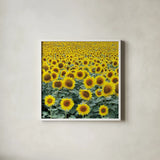 Le Loire Sunflower Field by Deborah Revell. Shown in a crisp white glass frame for a clean and minimalist style. Available as an archival giclee rolled canvas, fine art paper, or poster print. SKU 96592a.